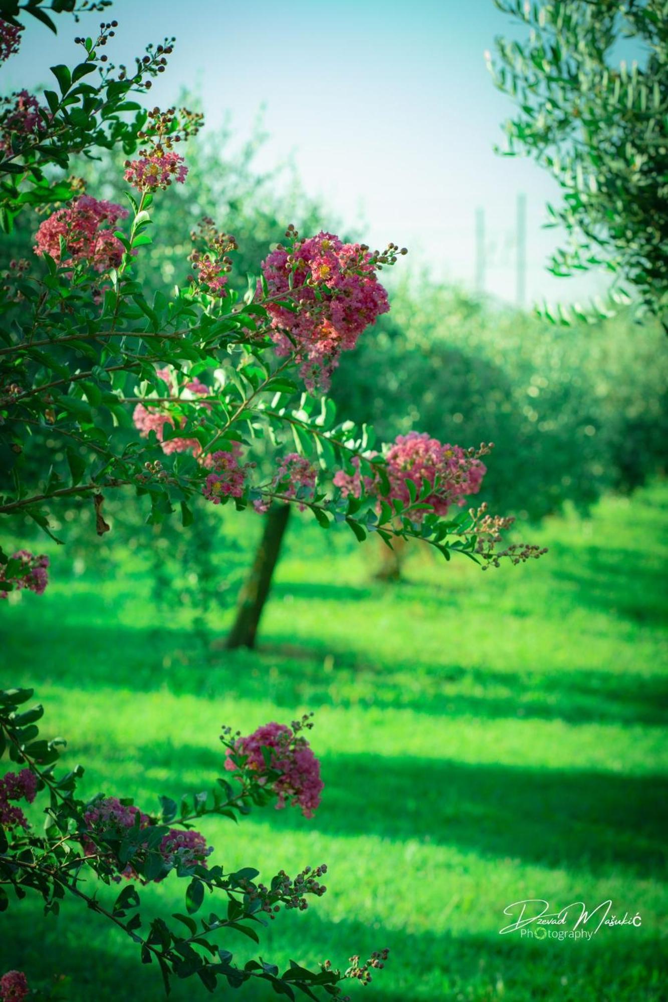 Agriturismo Olistella 팔라쫄로델로스텔라 외부 사진