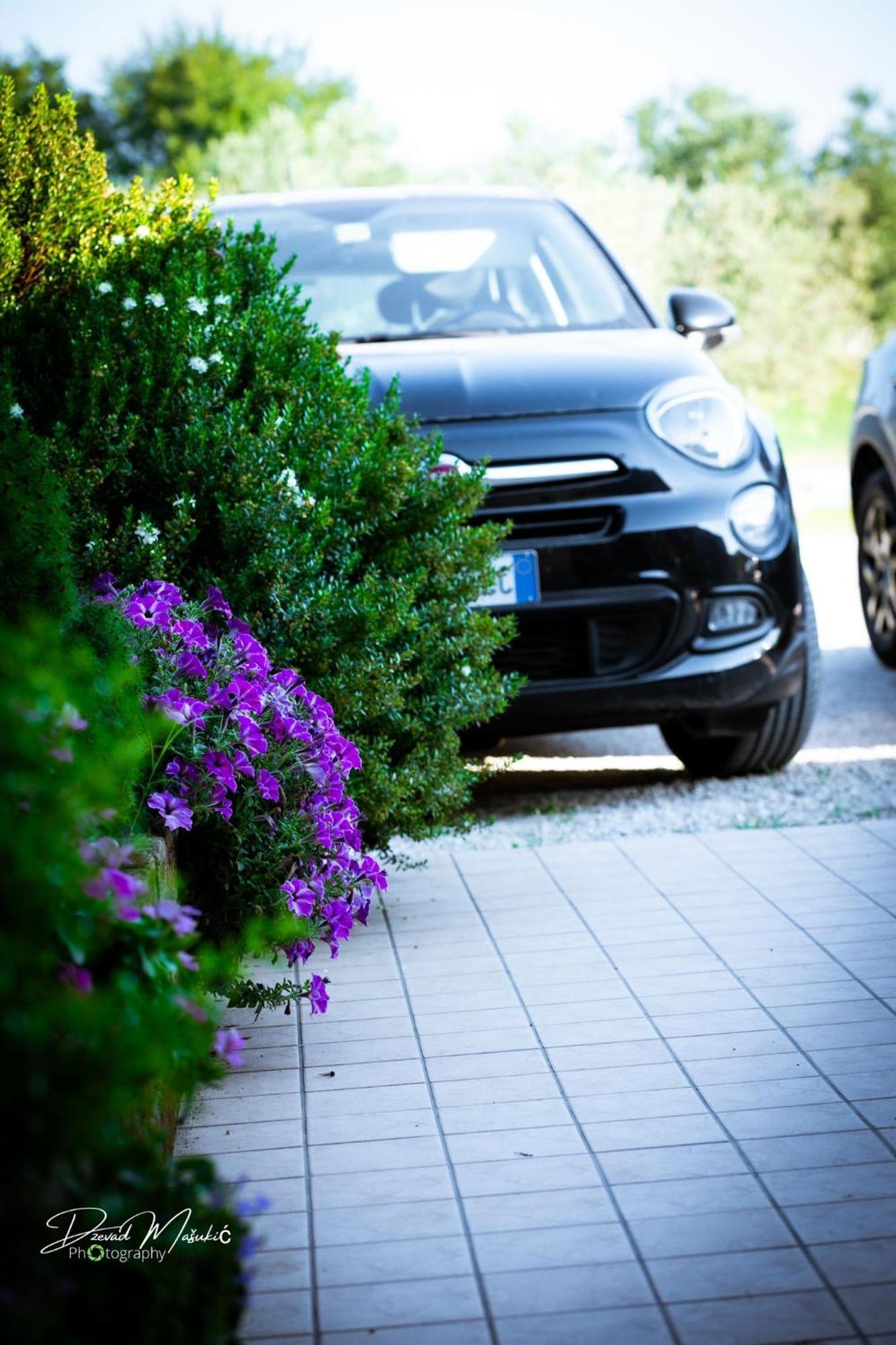 Agriturismo Olistella 팔라쫄로델로스텔라 외부 사진
